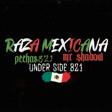 Raza Mexicana ft. UNDER SIDE 821 & Mr. Shadow | Boomplay Music