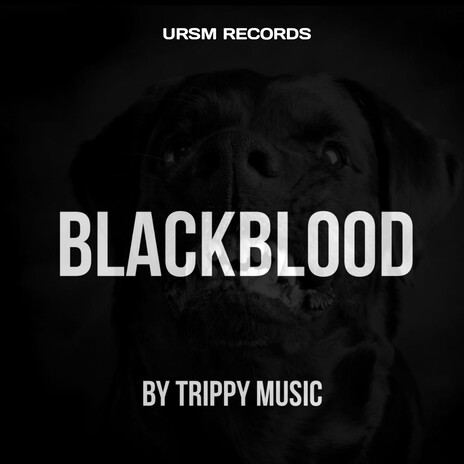 Blackblood | Boomplay Music