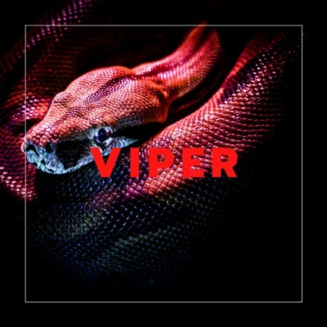 VIPER