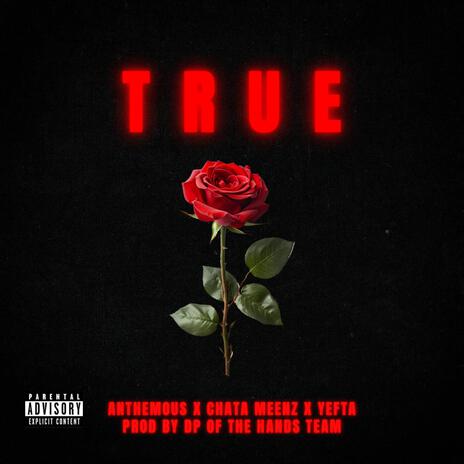 TRUE ft. Anthemous & CHATA MEENZ | Boomplay Music