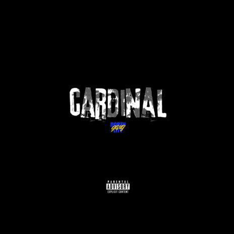 Cardinal | Boomplay Music