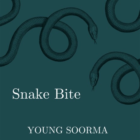 Snake Bite | Boomplay Music