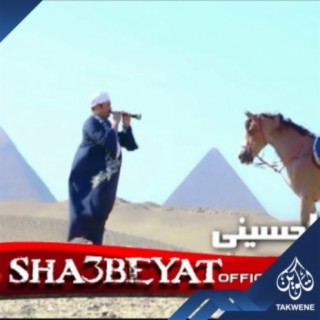 احمد الحسينى