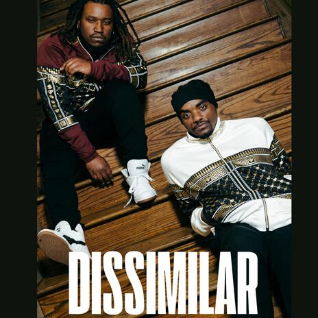 DISSIMILAR | Boomplay Music