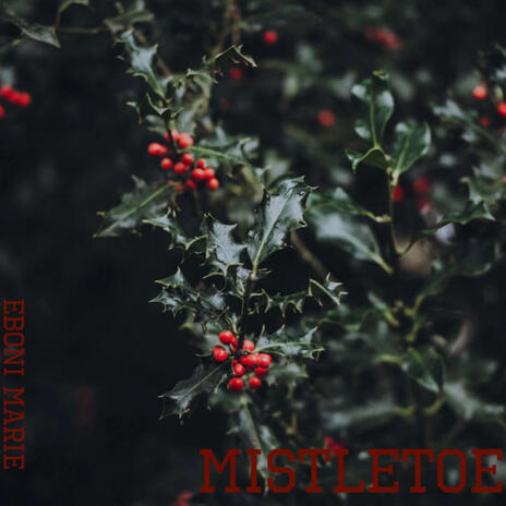 Mistletoe