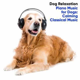 Piano Music for Dogs: Calming Classical Music