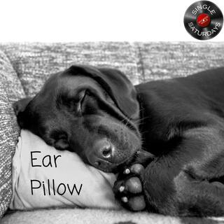 Ear Pillow