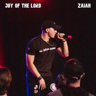 Joy of the Lord lyrics | Boomplay Music