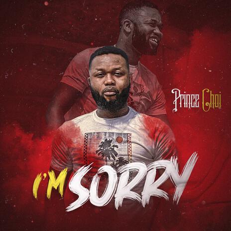 I'm Sorry | Boomplay Music