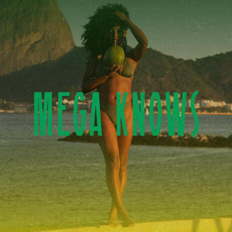 mega funk knows | Boomplay Music