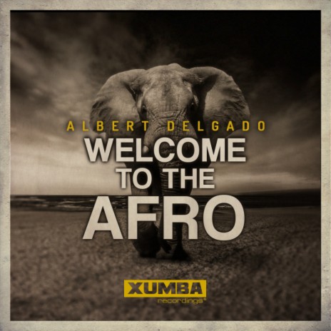 Welcome To The Afro (Original Mix)