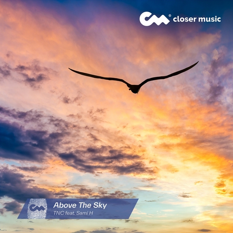 Above the Sky ft. Sami H | Boomplay Music