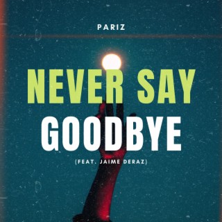 Never Say Goodbye