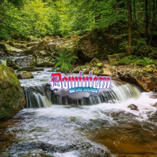 Harmonious Waters: Mesmerizing River, Brook Sounds, Deep Relaxation, Sleep