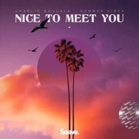 Nice To Meet You ft. Summer Vibes | Boomplay Music