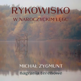 Rykowisko w Naroczyckim Łęgu