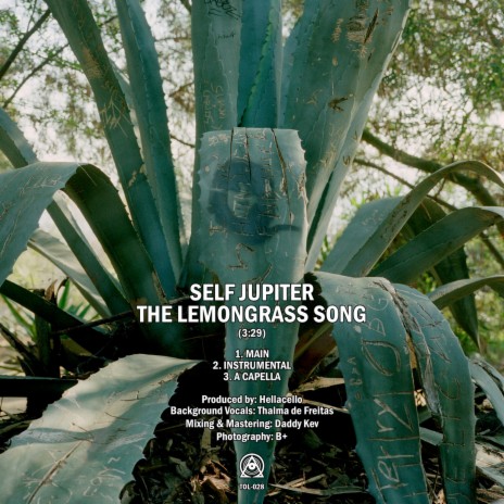 The Lemongrass Song | Boomplay Music