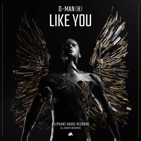 Like You | Boomplay Music