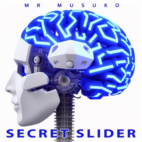 Secret Slider | Boomplay Music