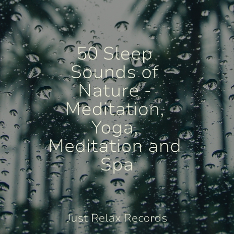 Calm Cascades ft. Chinese Relaxation and Meditation & Japanese Relaxation and Meditation | Boomplay Music