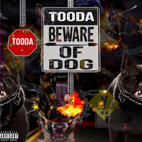 Beware Of Dog | Boomplay Music