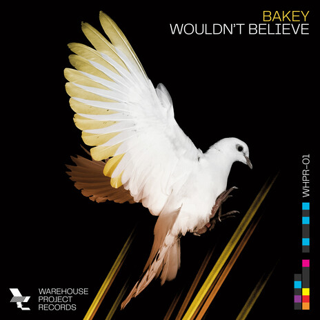 Wouldn't Believe | Boomplay Music