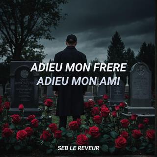 Adieu mon frère adieu mon ami