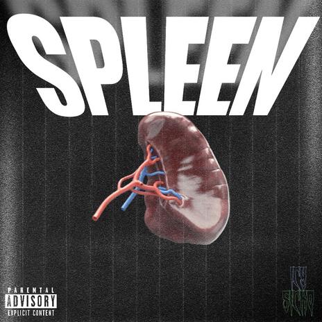 Spleen | Boomplay Music