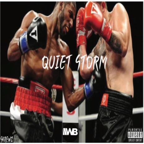 Quiet Storm | Boomplay Music