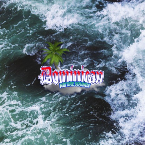 Melodic Waves of Paradise: Surrendering to the Serenade of the Sea | Boomplay Music