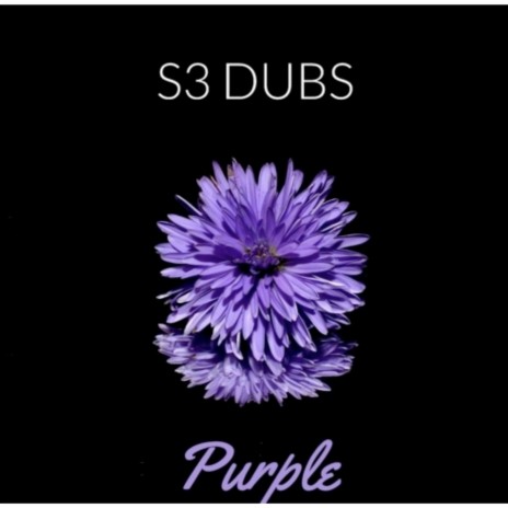 Purple | Boomplay Music