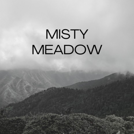 Misty Meadow | Boomplay Music