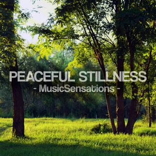 Peaceful Stillness