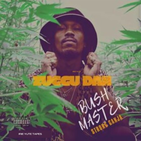 Bush Master ft. Irie Yute | Boomplay Music