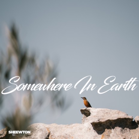 Somewhere In Earth | Boomplay Music