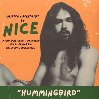 Hummingbird lyrics | Boomplay Music