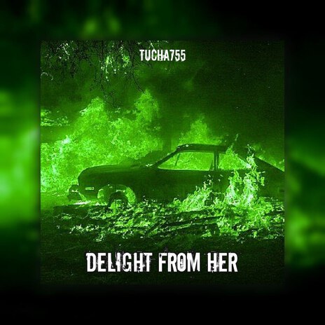 Delight from Her | Boomplay Music