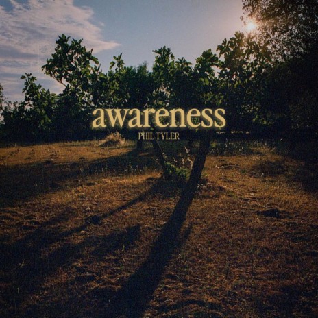 Awareness | Boomplay Music