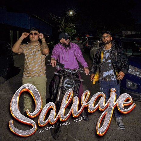 Salvaje ft. NaickyB & Polyezzy | Boomplay Music