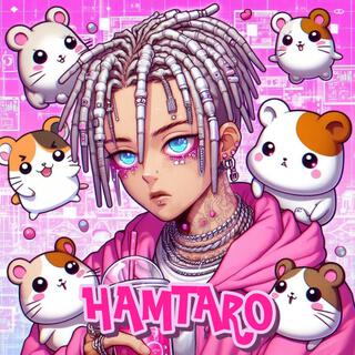 HAMTARO