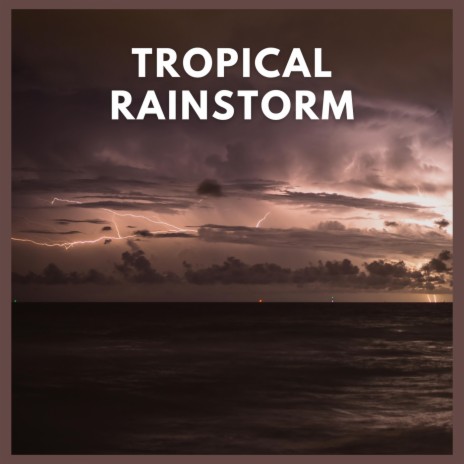 Tropical Rainstorm, Pt. 29 | Boomplay Music