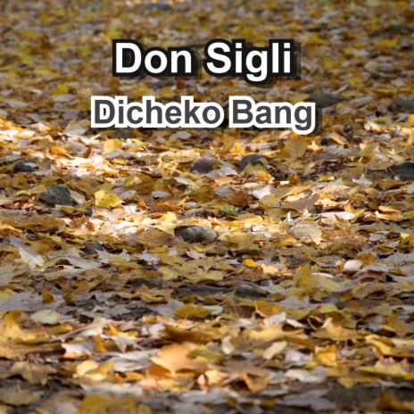 Dicheko Bang | Boomplay Music