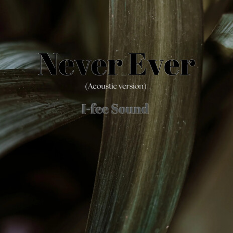 Never Ever (Acoustic version) | Boomplay Music