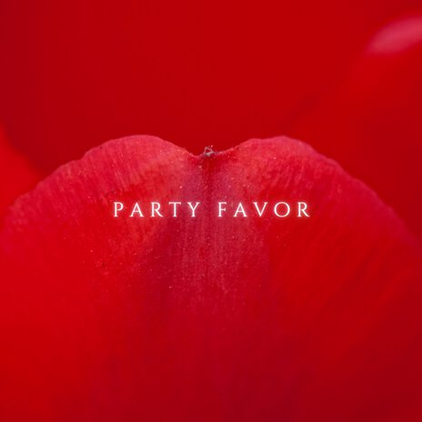 Party Favor | Boomplay Music