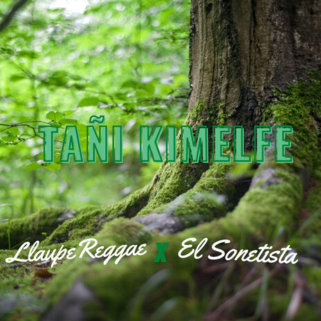 Tañi Kimelfe ft. Llaupe Reggae