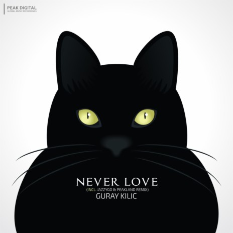 Never Love (Peakland Remix)
