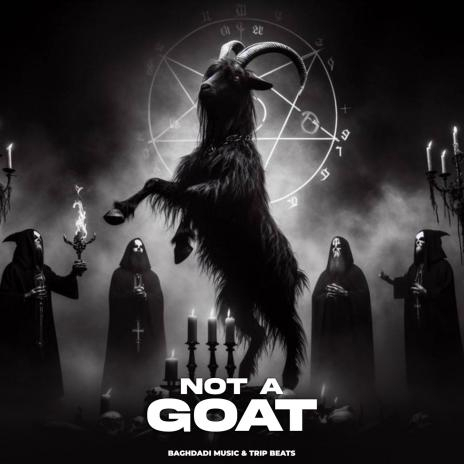 Not A Goat | Boomplay Music