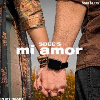 Mi Amor lyrics | Boomplay Music