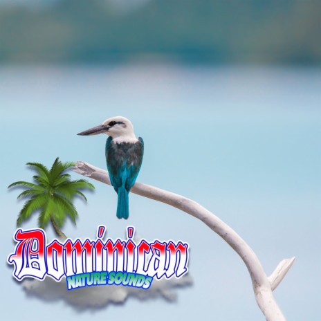 Melodic Skylark Symphony: Joyful Bird Songs for Nature's Harmony | Boomplay Music