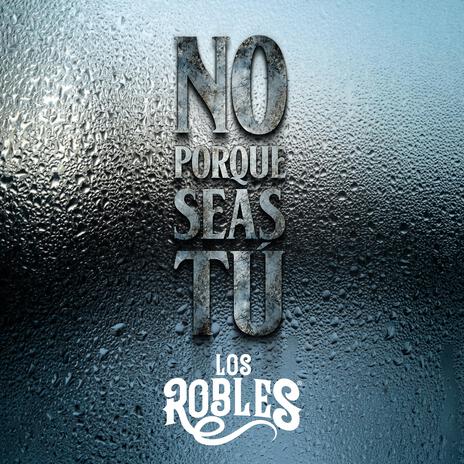 No Porque Seas Tu | Boomplay Music